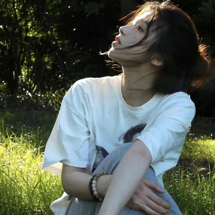 银色之翼